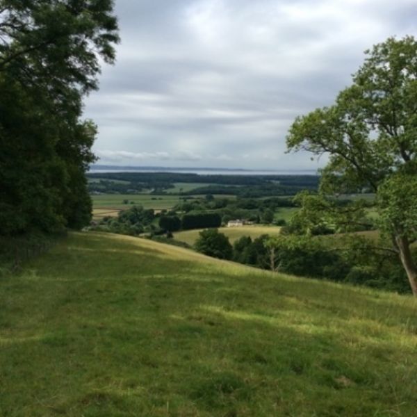 BullaceHill - 8